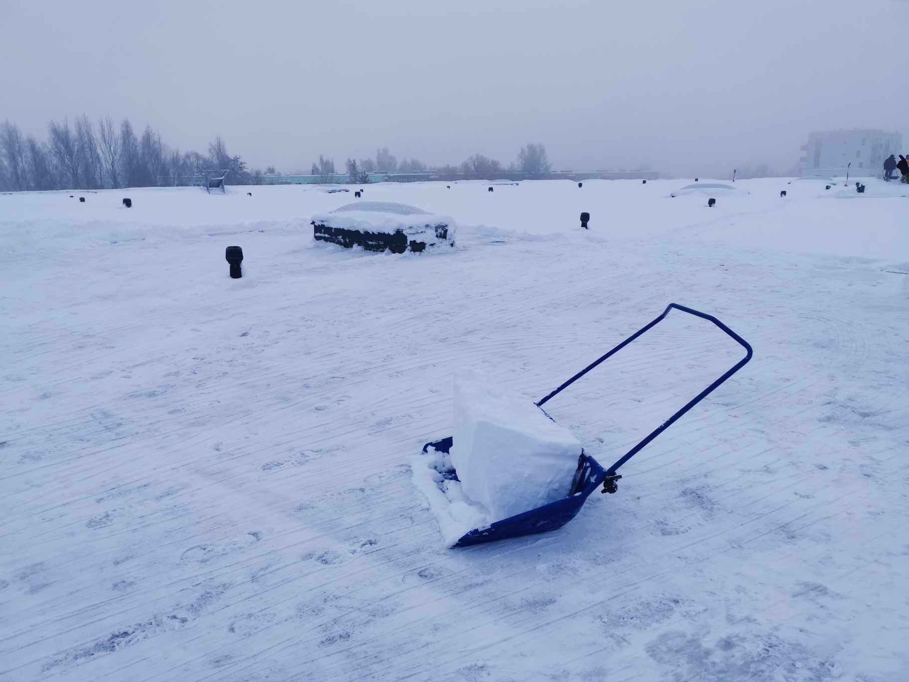 405384760 893919332342488 7415086163872894336 n